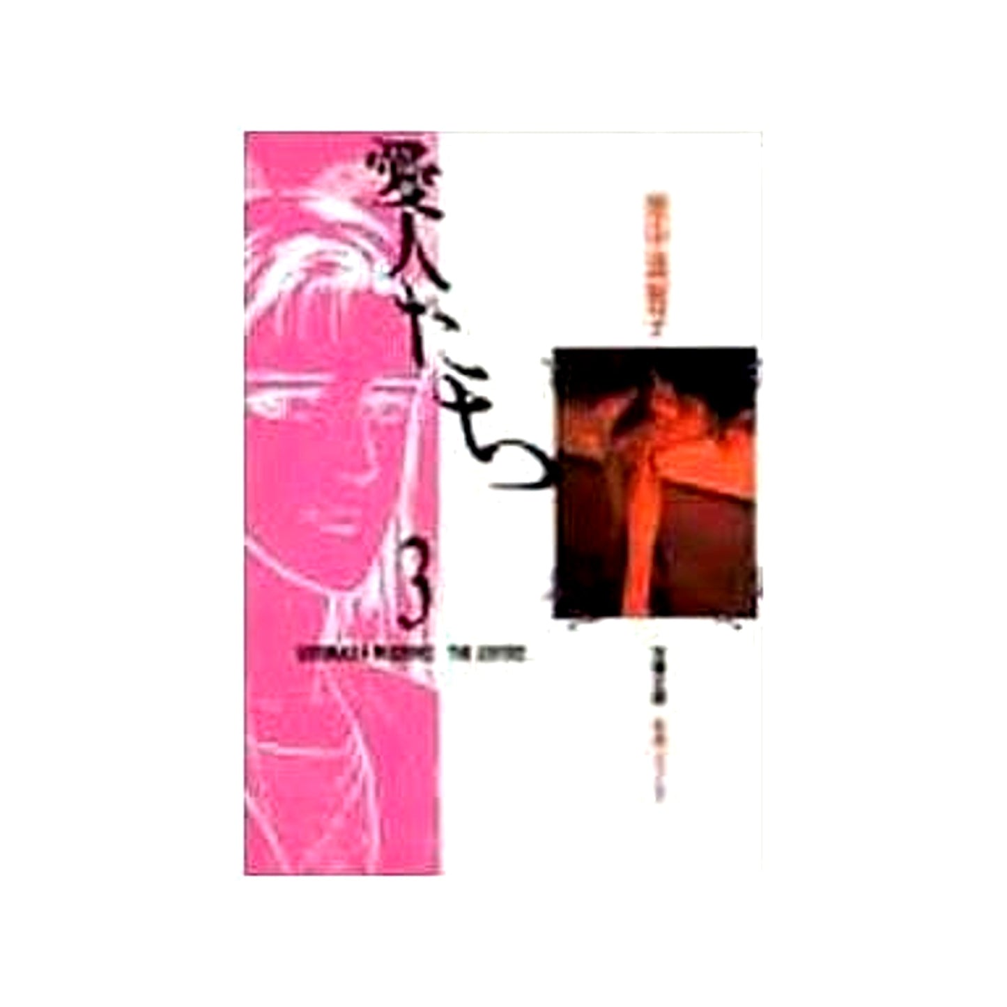 Aijin-tachi Paperback Edition 3 Volumes Set FUTABASHA [USED]