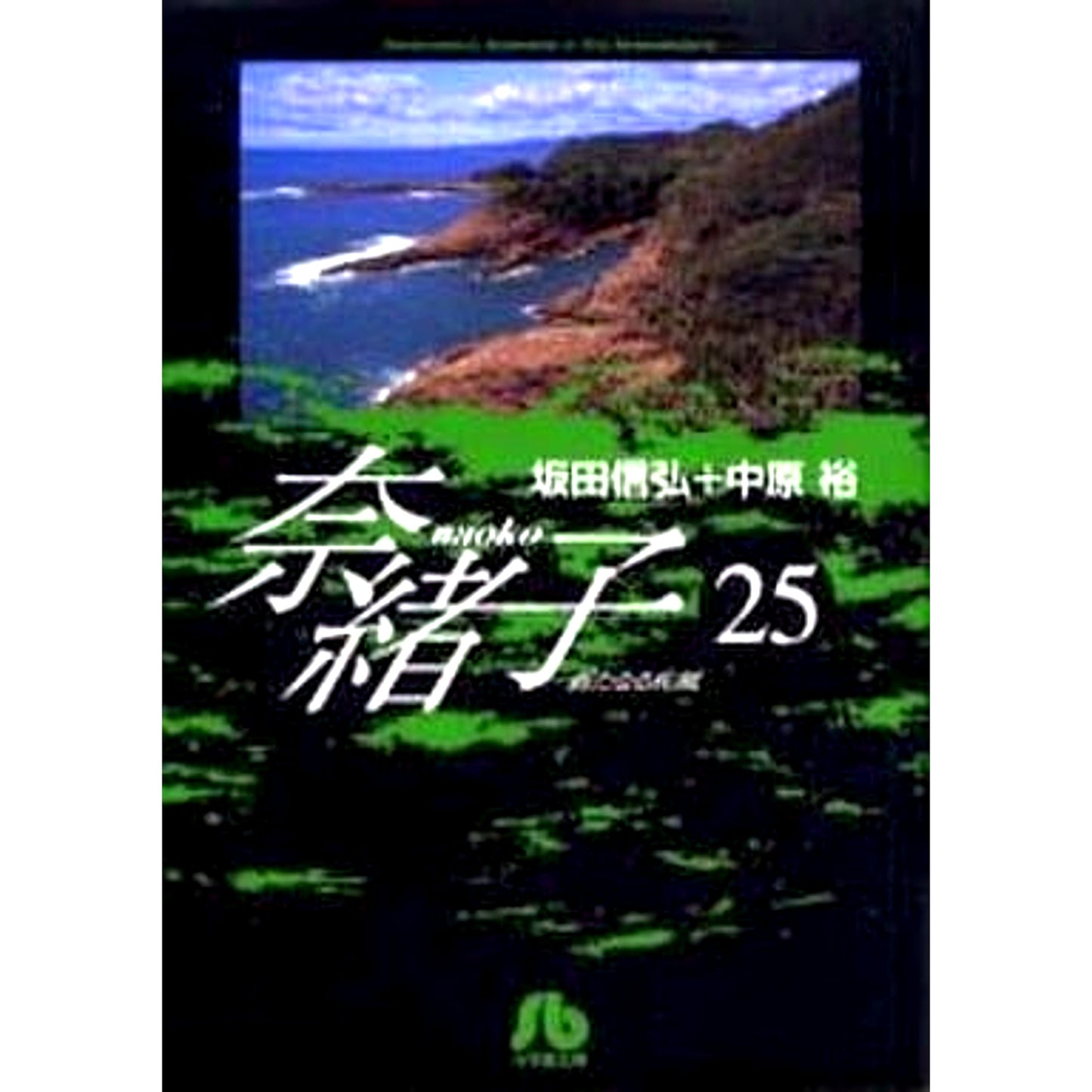 Naoko Paperback Edition 25 Volumes Set Shogakukan Inc. [USED]