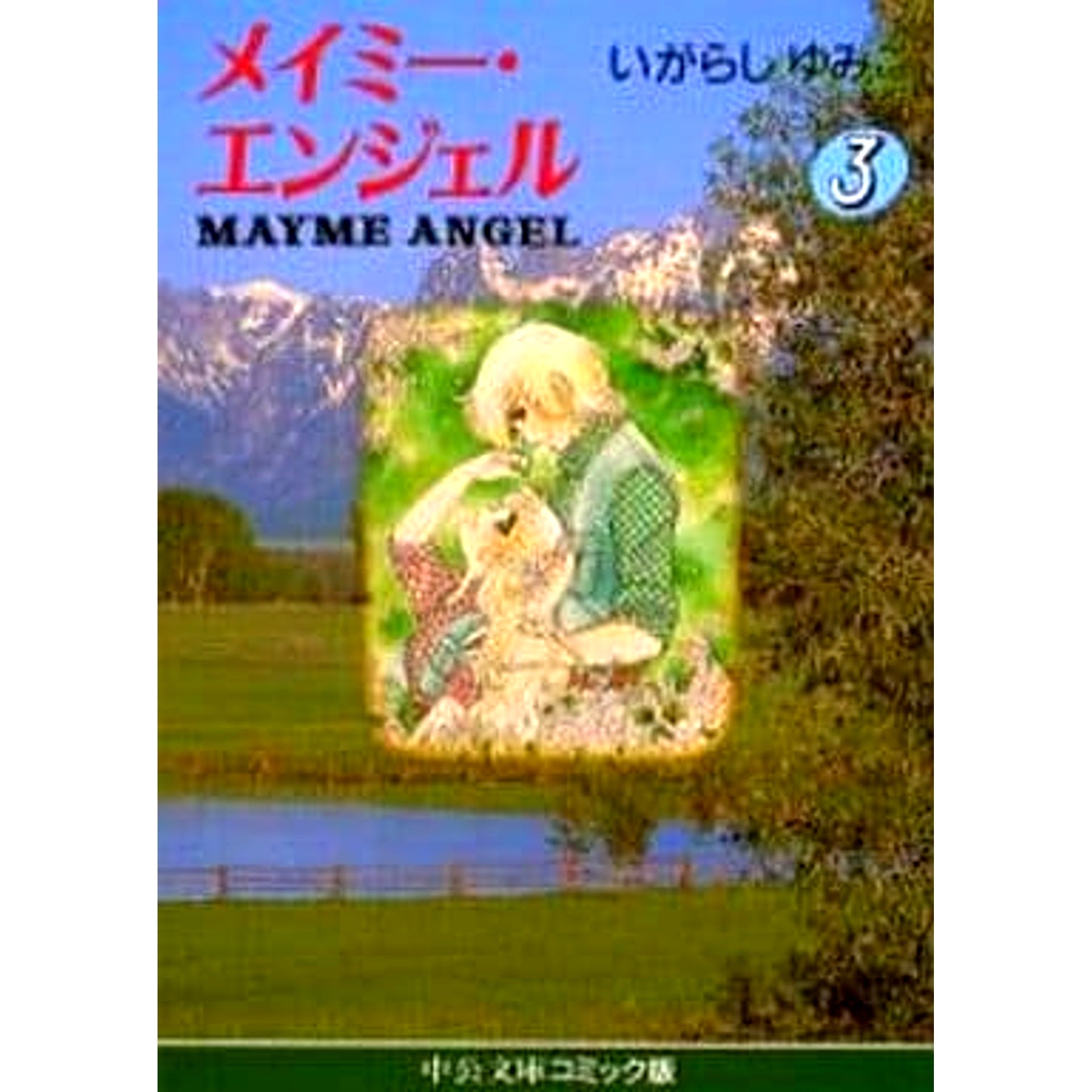 Meimi Angel Paperback Edition 3 Volumes Set Yumiko Igarashi Chuo Koron Shinsha [USED]