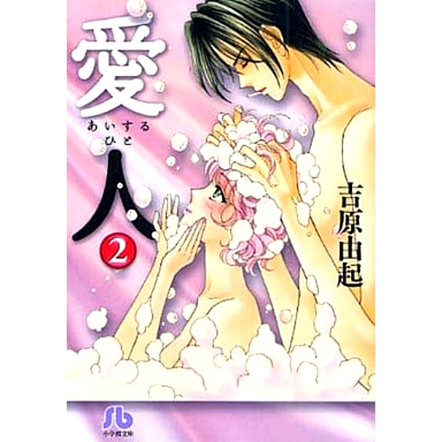 Aijin Paperback Edition 2 Volumes Set Shogakukan Inc. [USED]