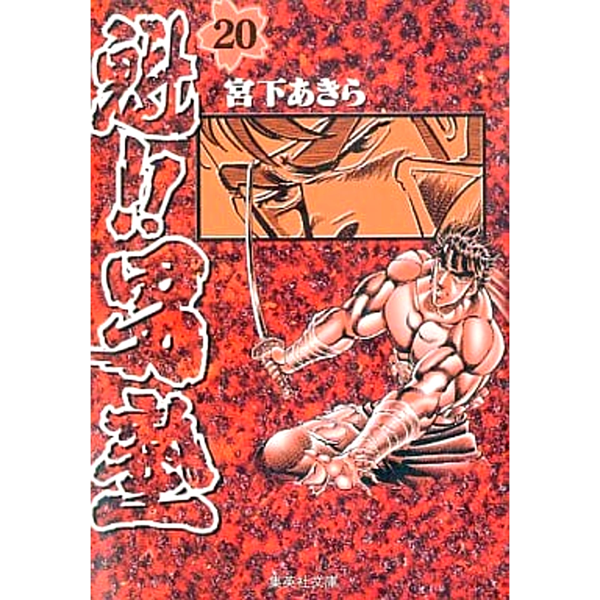 Sakigake!! Otokojuku Paperback Edition 20 Volumes Set SHUEISHA [USED]