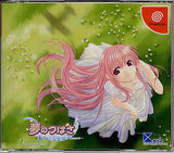 Yume no Tsubasa Fate of Heart First press Limited Edition Dreamcast Japan Ver. [USED]