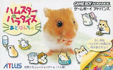 Hamster Paradise Adobanchu GAMEBOY ADVANCE Japan Ver. [USED]