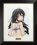 My Teen Romantic Comedy SNAFU Too! Duplicate Original Drawing Character Fine Graph B5 /Yukinoshita Yukino Lingerie Ver. with Accessories Painting [USED]