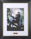 Framed Legendary Art Collection Inomata Mutsumi Tales of Destiny 2 With Accessories Painting [USED]