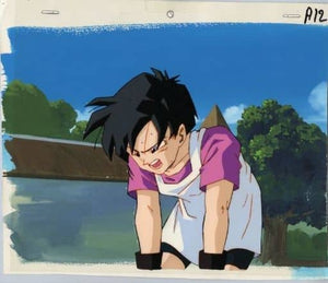 Cel Dragon Ball Z / Videl A12 SS Print [USED]