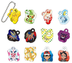 All 12 Types Set Pokemon Mini Metal Key Ring [USED]