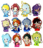 All 12 Types Set Ensemble Stars! Trading Acrylic Keychain Collection Wonderland Series Ver.C Key Ring [USED]