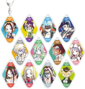 You Asakura, etc. Shaman King Ani-Art Trading Acrylic Key Chains Vol.2 All 12 Types Set Key Ring [USED]