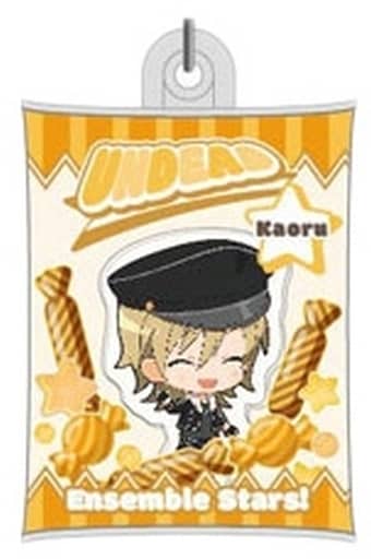 Kaoru Hakaze Ensemble Stars! Air Fluffy Key Chain C Key Ring [USED]