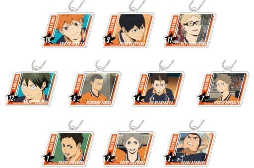 Shoyo Hinata, etc. Haikyu!! TO THE TOP Decofla Acrylic Keychain Karasuno High School All 10 Types Set Key Ring [USED]
