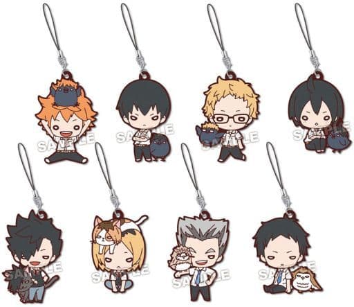 Shoyo Hinata, etc. Haikyu!! Nitotan with a Mascot! Rubber Mascot All 8 Types Set Key Ring [USED]