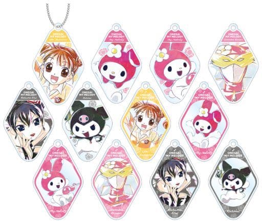 My Melody, etc. Onegai My Melody Ani-Art Trading Acrylic Keychains All 12 Types Set Key Ring [USED]