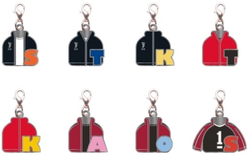 Shoyo Hinata, etc. Haikyu!! TO THE TOP Trading Metal Charms Vol.3 All 8 Types Set Charm [USED]