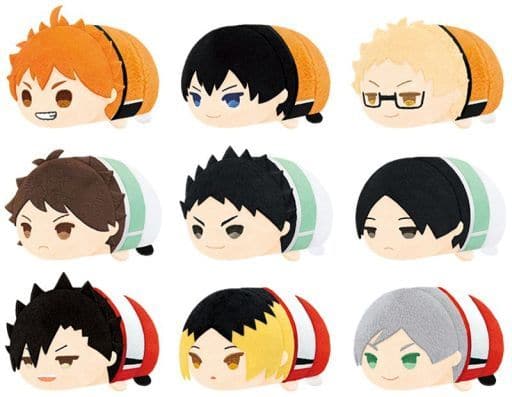Shoyo Hinata, etc. Haikyu!! TO THE TOP Mochimochi Mascot Vol.4 All 9 Types Set Key Ring [USED]