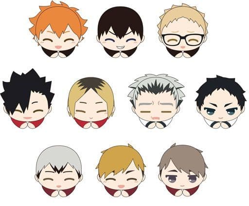 Shoyo Hinata, etc. Haikyu!! Hagu Chara Collection Special Special All 10 Types Set Key Ring [USED]