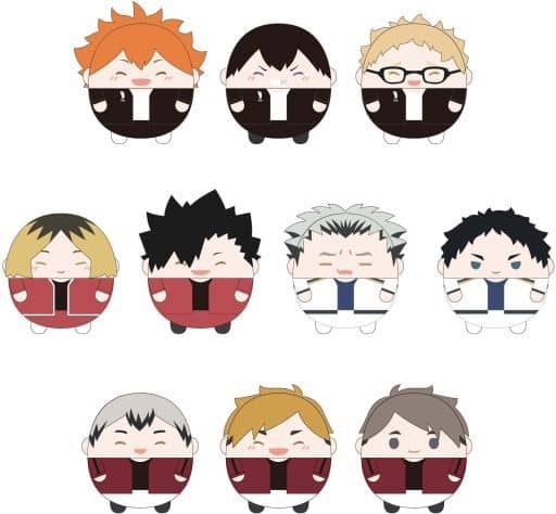 Shoyo Hinata, etc. Haikyu!! Fluffy Kororin Special All 10 Types Set Key Ring [USED]