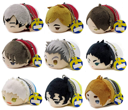 Shinsuke Kita, etc. Haikyu!! TO THE TOP Mochimochi Mascot Vol.5 All 9 Types Set Key Ring [USED]