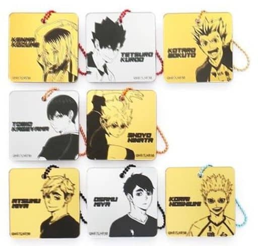 Shoyo Hinata, etc. Haikyu!! Trading Mirror Acrylic Key Chain All 8 Types Set Key Ring [USED]
