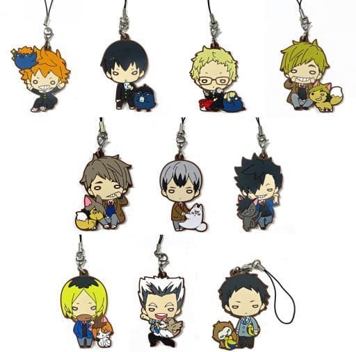 Shoyo Hinata, etc. Haikyu!! Nitotan Playing Mascot Rubber Mascot animate Limited All 10 Types Set Key Ring [USED]