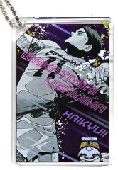 Wakatoshi Ushijima Haikyu!! Defeat All of Oikawa Domino Style Acrylic Key Chain Collection Key Ring [USED]