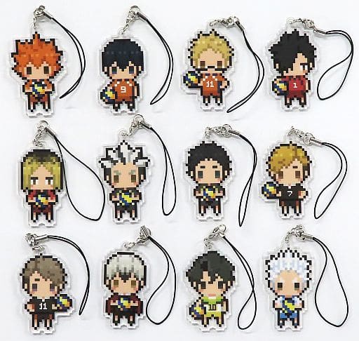 Shoyo Hinata, etc. Haikyu!! TO THE TOP Petite Bit Strap Collection All 12 Types Set Key Ring [USED]