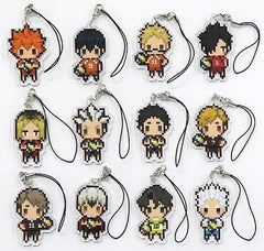 Shoyo Hinata, etc. Haikyu!! TO THE TOP Petite Bit Strap Collection All 12 Types Set Key Ring [USED]