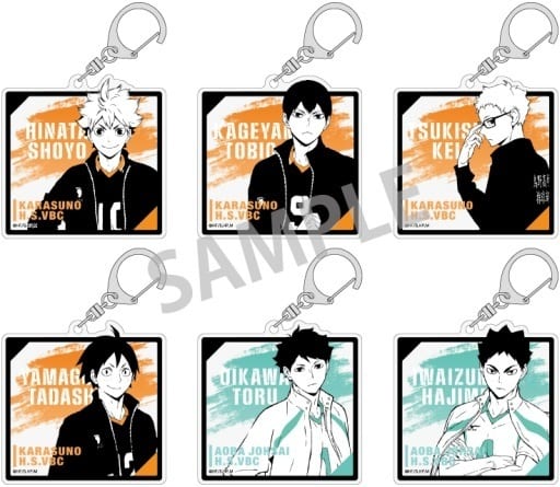 Shoyo Hinata, etc. Haikyu!! Trading Acrylic Key Chains Tracksuit Vol.1 All 6 Types Set Key Ring [USED]