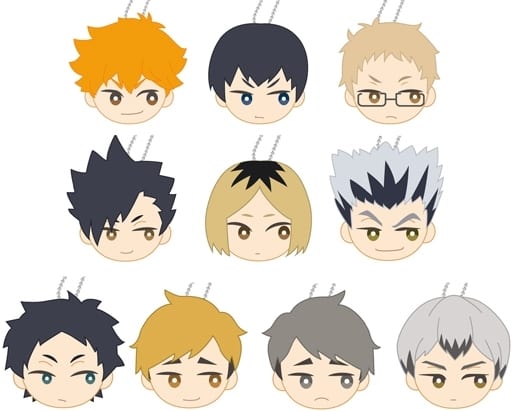 Shoyo Hinata, etc. Haikyu!! Turn around Collection Petite Key Chain All 10 Types Set Key Ring [USED]