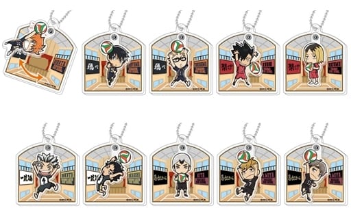 Shoyo Hinata, etc. Haikyu!! Purapura Acrylic Key Chain Vol.2 All 10 Types Set Key Ring [USED]
