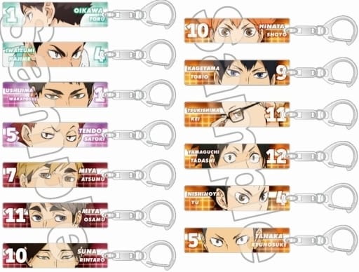 Shoyo Hinata, etc. Haikyu!! Eye Catching Acrylic Key Chain Collection Part 2 All 13 Types Set Key Ring [USED]