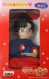 Mamoru Chiba Sailor Moon SuperS Hina Decoration Set Figure [USED]