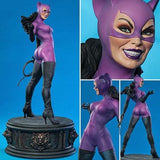 Catwoman Classic Edition Batman Other-Figure [USED]