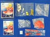 Charagumin Saber Extra Fate/Extra 1/8 Color Resin Cast Kit Volks Shop & Hobby Heaven Web Limited Female Figure [USED]