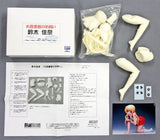 Suzuki Kan A Good Librarian Like a Good Shepherd 1/6 Resin Cast Kit Female Figure [USED]