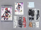 Charagumin Hanuairla Phantasy Star Online 2 1/8 Color Resin Cast Kit Volks Shop & Hobby Heaven Web Limited Figure [USED]