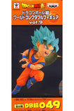 Son Goku Super Saiyan God Super Saiyan Dragon Ball Super World Collectable Figure Vol.9 Trading Figure [USED]