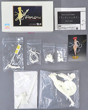 Frankenstein Fate/Grand Order 1/8 Resin Cast Kit Wonder Festival 2018 Winter & Event Limited Figure [USED]