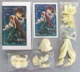 Suiseiseki Rozen Maiden Troyment Figure Figure Resin Cast Kit Volks Shop & Hobby Heaven Web Limited Female Figure [USED]