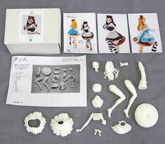Alice Resin Cast Kit Wonder Festival 2015 Winter & Event & Mail Order Limited Female Figure [USED]