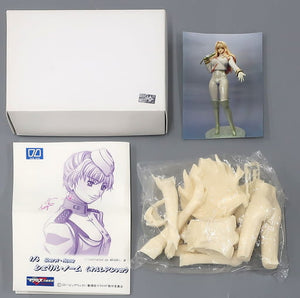 Sheryl Nome Orleans ver. Macross F Movie 2: Sayonara no Tsubasa 1/6 Garage Kit Chara-Hobby 2011 C3 x HOBBY Limited Figure [USED]