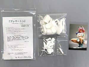 Bremerton Azur Lane 1/7 Resin Cast Kit Treasure Festa Online 1 & Event Limited Female Figure [USED]