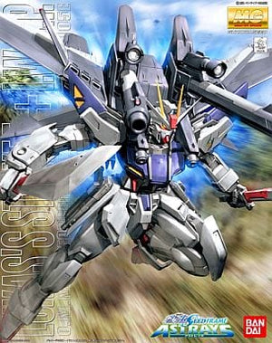 Strike E + IWSP Lukas O'Donnel's Machine Mobile Suit Gundam SEED FRAME ASTRAYS MG GAT-X105E 1/100 Plastic Model [USED]