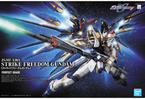 Strike Freedom Gundam Mobile Suit Gundam SEED DESTINY PG ZGMF-X20A 1/60 Plastic Model [USED]