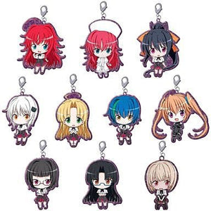 All 10 Types Set High School DxD NEW Trading Metal Charm Strap Key Ring [USED]