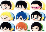 All 9 Types Set Mochi Mochi Mascot Yowamushi Pedal Grande Road vol.1 Key Ring [USED]