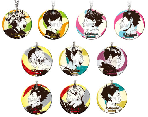 Shoyo Hinata, etc. Haikyu!! Season 2 Acrylic Ball Mascot All 10 Types Set Key Ring [USED]