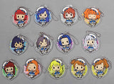 All 13 Types Set THE iDOLM@STER Platinum Stars Collaboration Cafe in Ani ON STATION Acrylic Keychain Key Ring [USED]