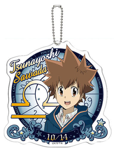 Tsunayoshi Sawada Reborn! Acrylic Key Chain Costellazione: A Key Ring [USED]
