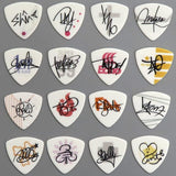 Autographed Picks 16 Types Set Ichiban Cafe Band Yarouze! -BAND YAROUNYA!- Double Chance Campaign Other-Goods [USED]